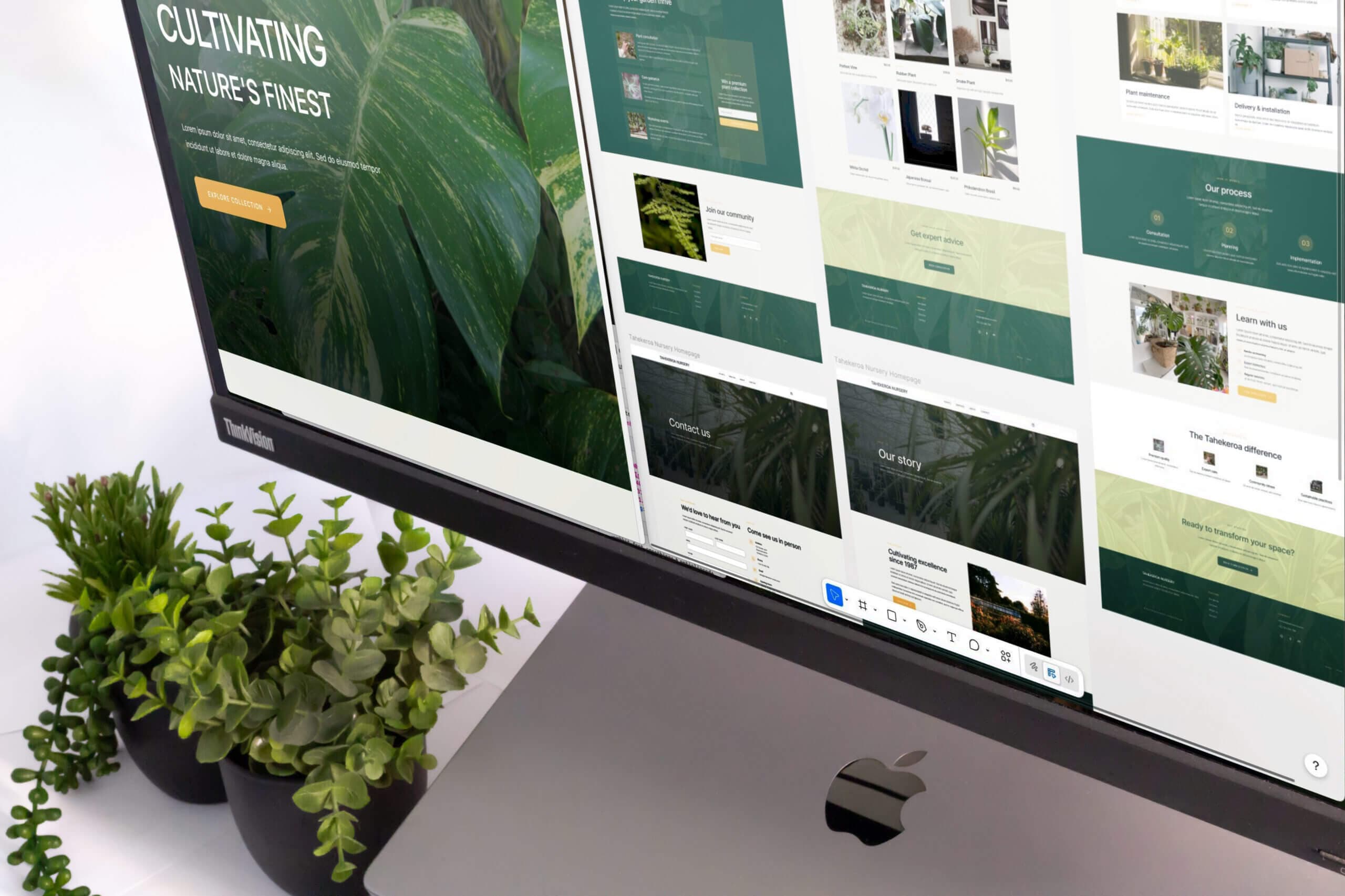 Example of e-commerce web development we do